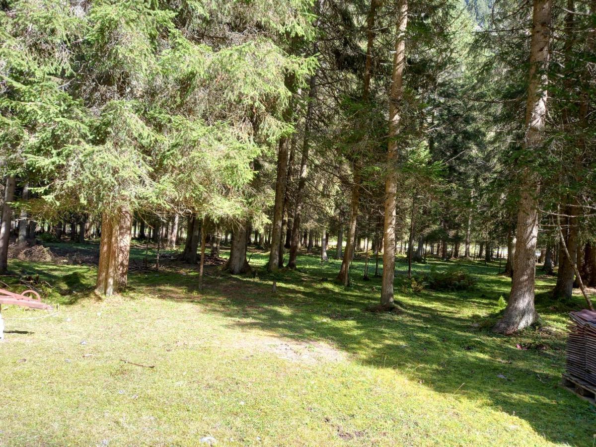 شقة Haus Waldfriede سانكت ليونارد إم بيتزتال المظهر الخارجي الصورة